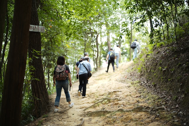 Rellaxentia vybavenie