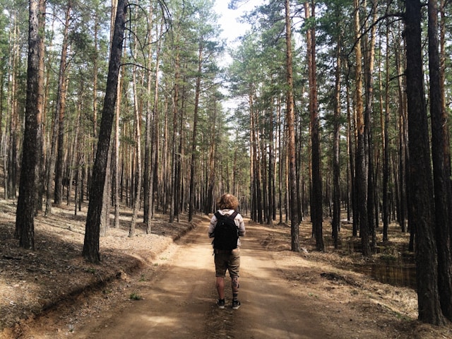 Rellaxentia príroda